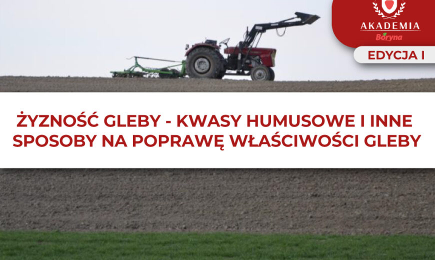ŻYZNOŚĆ GLEBY – KWASY HUMUSOWE I INNE SPOSOBY NA POPRAWĘ WŁAŚCIWOŚCI GLEBY – główne