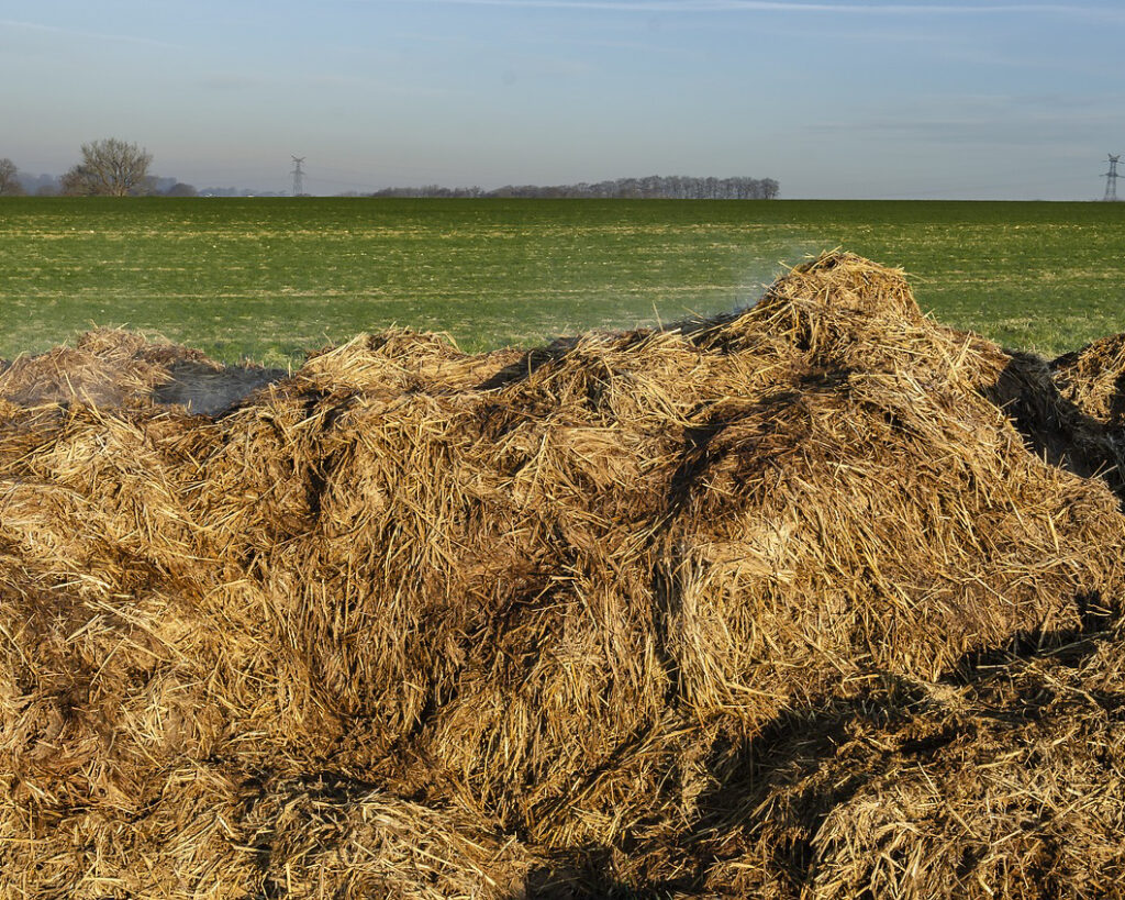 obornik - nawóz organiczny dla poprawy żyzności gleby