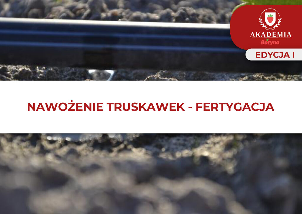 NAWOŻENIE TRUSKAWEK – FERTYGACJA główne