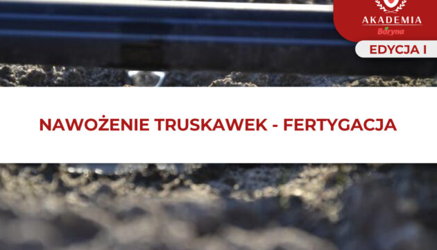 NAWOŻENIE TRUSKAWEK – FERTYGACJA główne