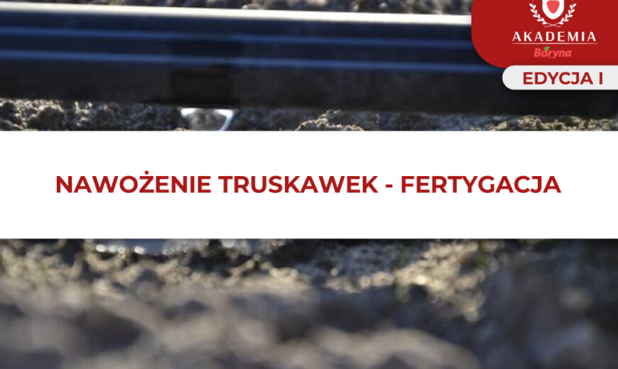 NAWOŻENIE TRUSKAWEK – FERTYGACJA główne