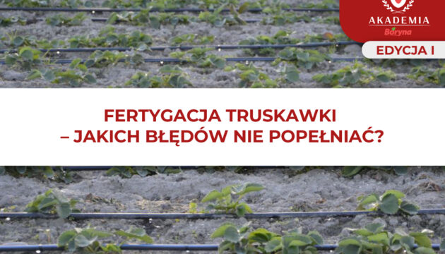 Fertygacja truskawki_glowne