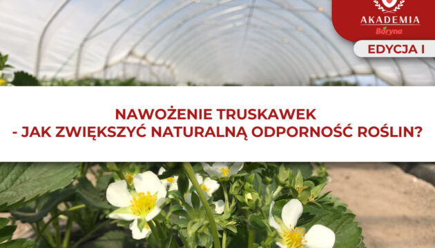 Odpornosc roślin – nawożenie truskawki główne
