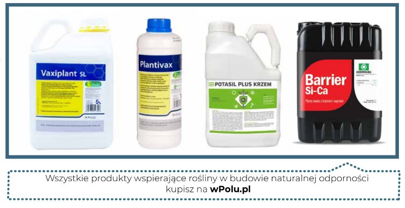 Produkty wspierające naturalną odporność truskawki.