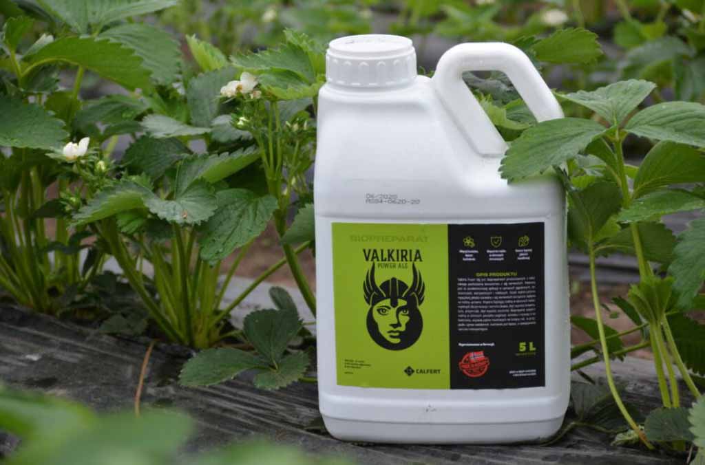 Valkiria Power Alg - biopreparat z alg norweskich. Wspiera fizjologię roślin w okresach niekorzystnych dla jej rozwoju i wzrostu.