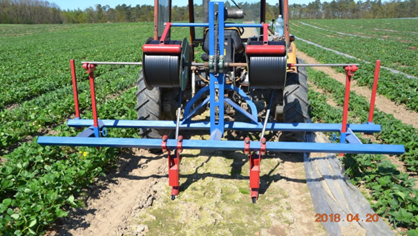 Urządzenie do mechanicznego rozkładania linii kroplujących na plantacji.