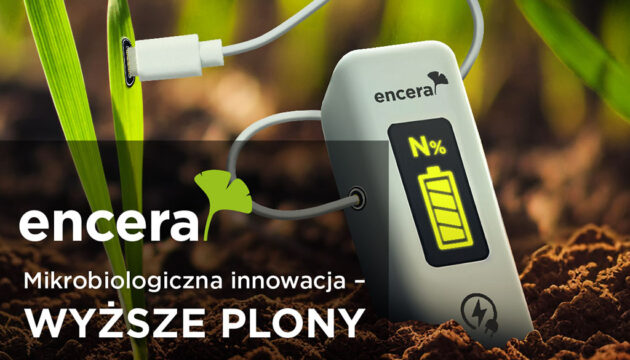 Encera-boryna-główna