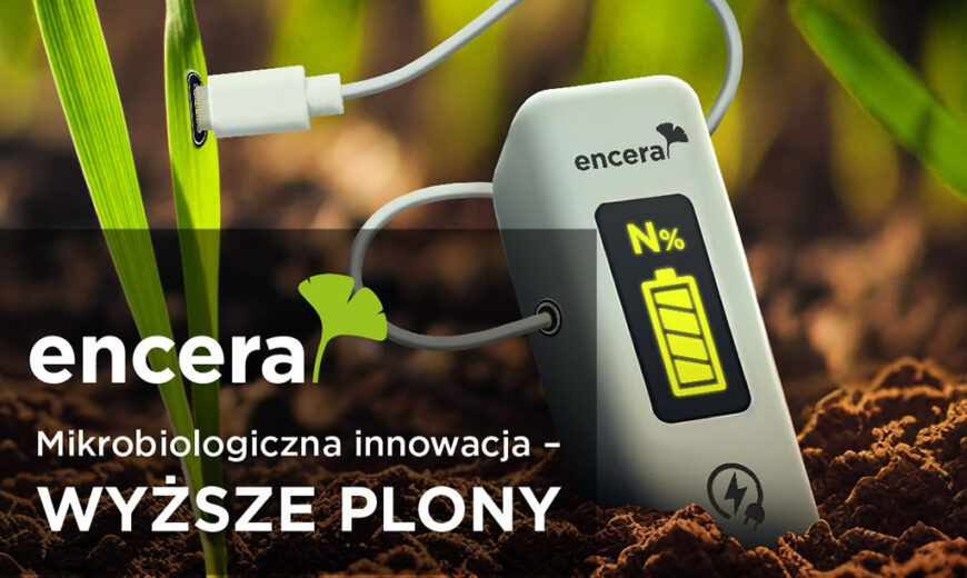 Encera-boryna-główna