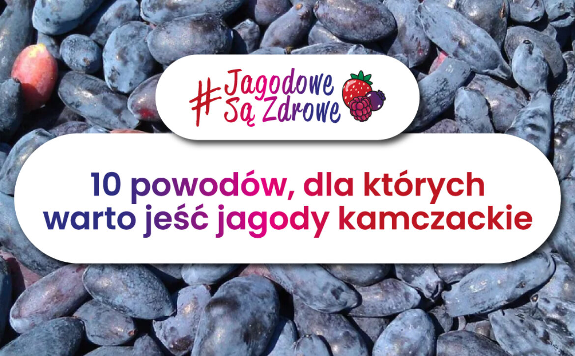 Owoce jagodowe są zdrowe. Dlaczego warto jeść jagody kamczackie?