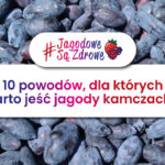 JAGODOWE SĄ ZDROWE - 10 POWODÓW, DLA KTÓRYCH WARTO JEŚĆ JAGODY KAMCZACKIE