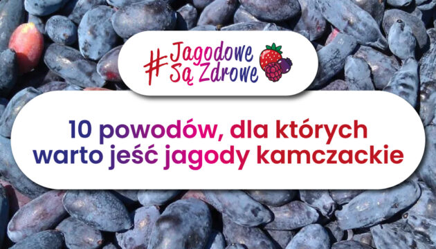 Owoce jagodowe są zdrowe. Dlaczego warto jeść jagody kamczackie?