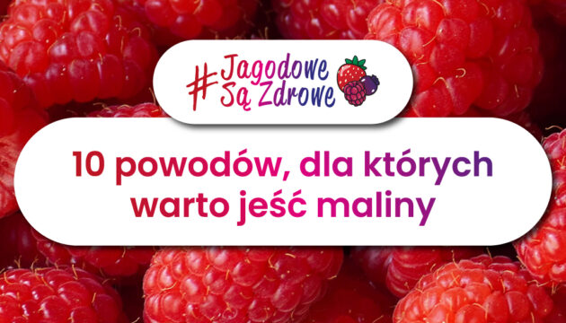 Owoce jagodowe są zdrowe. Dlaczego warto jeść jagody kamczackie?