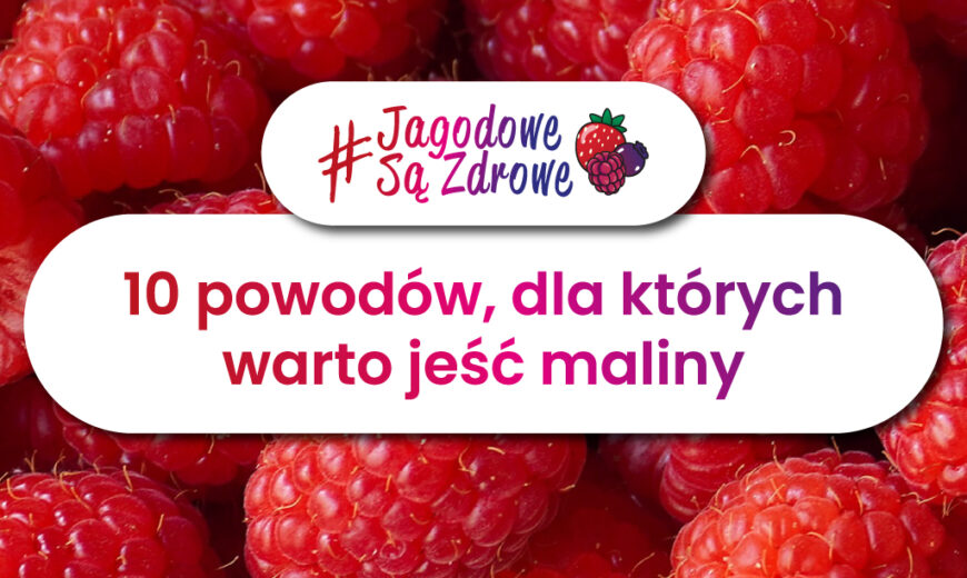Owoce jagodowe są zdrowe. Dlaczego warto jeść jagody kamczackie?