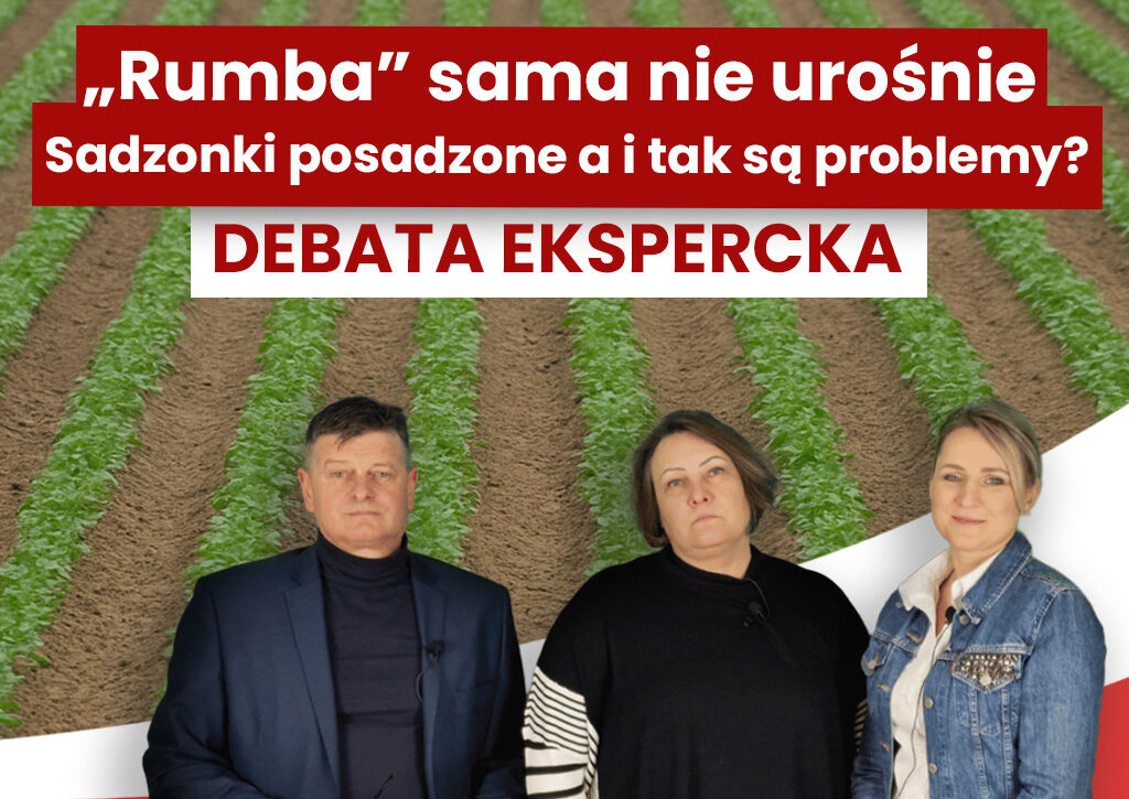 Miniaturka-artykuł