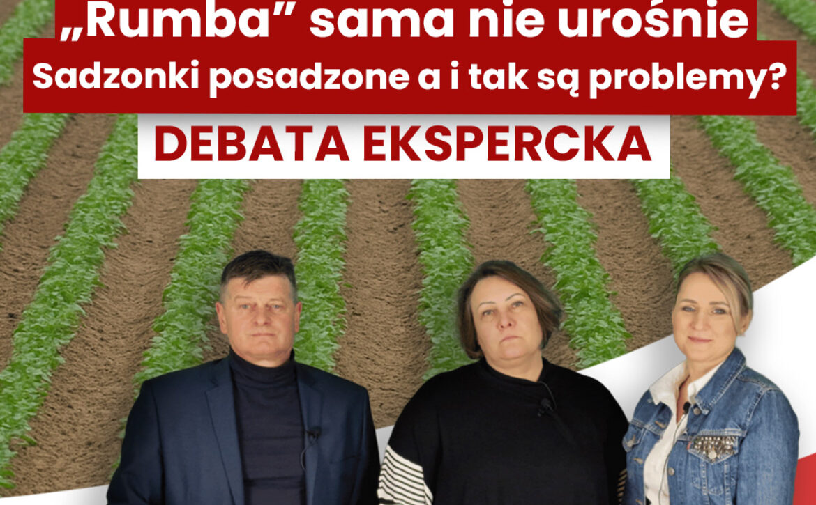 Miniaturka-artykuł