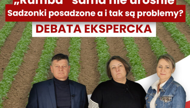 Miniaturka-artykuł