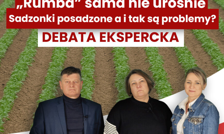 Miniaturka-artykuł